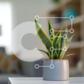 Intra Συλλεκτικό Ξύλινο Παζλ Plywood  4mm - Μικρό φυτό σε γλάστρα σε λευκό τραπέζι στο σαλόνι Σε Ξύλινο Κουτί - Διαστάσεις Puzzle: 10x10 cm – 25 κομμάτια - Image 1