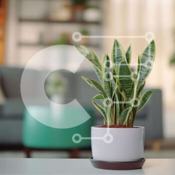 Intra Συλλεκτικό Ξύλινο Παζλ Plywood  4mm - Μικρό φυτό σε γλάστρα στο τραπέζι του σαλονιού Σε Ξύλινο Κουτί - Διαστάσεις Puzzle: 10x10 cm – 25 κομμάτια - Image 1