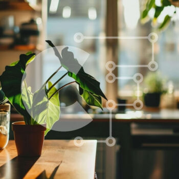 Intra Συλλεκτικό Ξύλινο Παζλ Plywood  4mm - Κουζίνα με φυτά σε γλάστρες και ανοιχτό παράθυρο Σε Ξύλινο Κουτί - Διαστάσεις Puzzle: 10x10 cm – 25 κομμάτια - Image 1