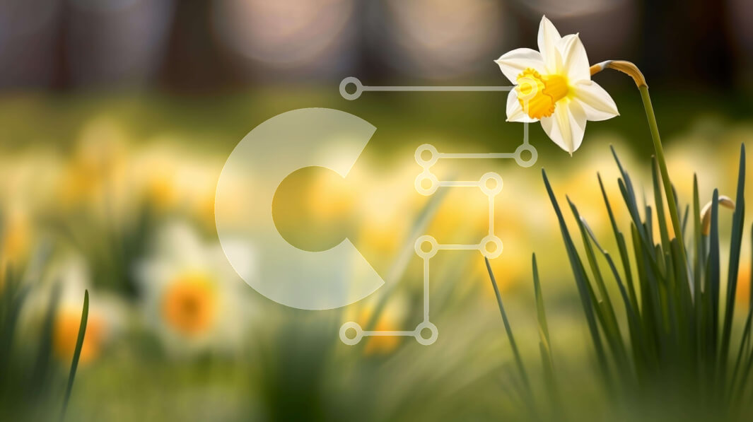 Intra Συλλεκτικό Ξύλινο Παζλ Plywood  4mm - Κίτρινος ασφόδελος σε φυσικό περιβάλλον Σε Ξύλινο Κουτί - Διαστάσεις: 10x10 cm – 25 κομμάτια