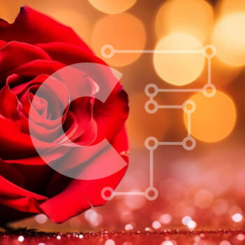 Intra Συλλεκτικό Ξύλινο Παζλ Plywood  4mm - Ρομαντικό κόκκινο τριαντάφυλλο με φόντο λαμπερά φώτα Σε Ξύλινο Κουτί - Διαστάσεις Puzzle: 10x10 cm – 25 κομμάτια - Image 1