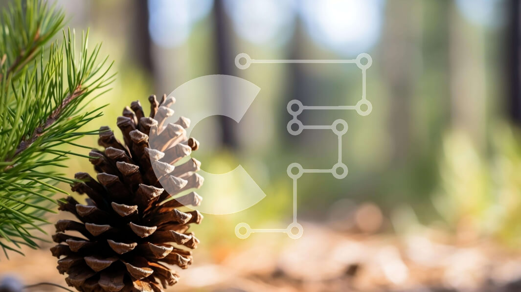 Intra Συλλεκτικό Ξύλινο Παζλ Plywood  4mm - Πεύκο στο δάσος Σε Ξύλινο Κουτί - Διαστάσεις: 10x10 cm – 25 κομμάτια