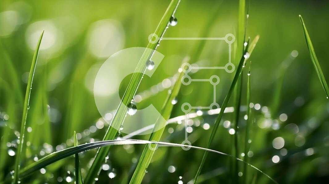 Intra Συλλεκτικό Ξύλινο Παζλ Plywood  4mm - Κοντινό πλάνο του Dewy Green Grass με σταγονίδια νερού Σε Ξύλινο Κουτί - Διαστάσεις: 10x10 cm – 25 κομμάτια