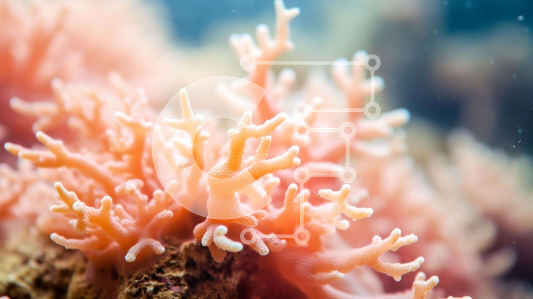 Intra Συλλεκτικό Ξύλινο Παζλ Plywood  4mm - Κοντινό πλάνο του πορτοκαλί κοραλλιού στον ωκεανό Σε Ξύλινο Κουτί - Διαστάσεις: 10x10 cm – 25 κομμάτια