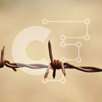 Intra Συλλεκτικό Ξύλινο Παζλ Plywood  4mm - Σκουριασμένο συρματόπλεγμα σε εξωτερικό περιβάλλον Σε Ξύλινο Κουτί - Διαστάσεις Puzzle: 10x10 cm – 25 κομμάτια - Image 1