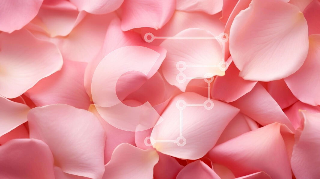 Intra Συλλεκτικό Ξύλινο Παζλ Plywood  4mm - Κοντινό πλάνο με ροζ πέταλα για κομψή διακόσμηση σπιτιού Σε Ξύλινο Κουτί - Διαστάσεις: 10x10 cm – 25 κομμάτια