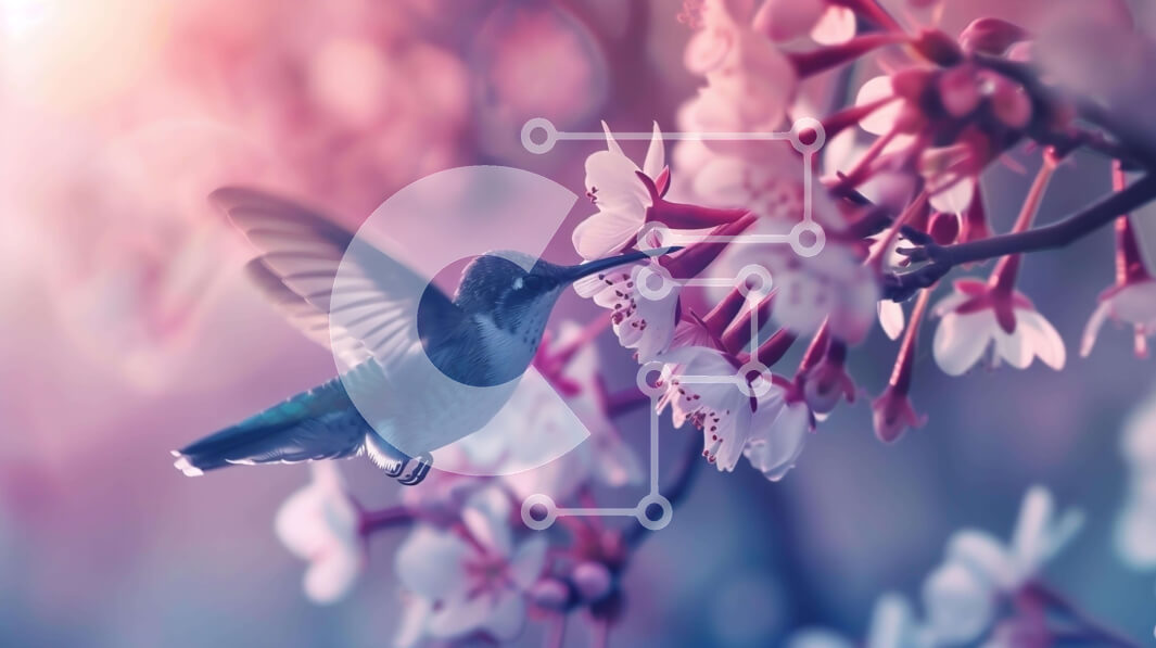 Intra Συλλεκτικό Ξύλινο Παζλ Plywood  4mm - Κολίμπρι που τρέφεται με άνθη κερασιάς Σε Ξύλινο Κουτί - Διαστάσεις: 10x10 cm – 25 κομμάτια