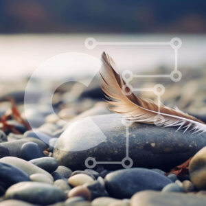 Intra Συλλεκτικό Ξύλινο Παζλ Plywood  4mm - Φτερό σε βράχους και βότσαλα κοντά στο νερό Σε Ξύλινο Κουτί - Διαστάσεις: 10x10 cm – 25 κομμάτια