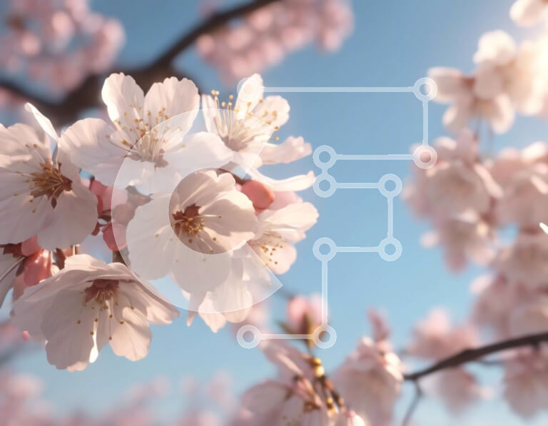 Intra Συλλεκτικό Ξύλινο Παζλ Plywood  4mm - Ανοιξιάτικα άνθη κερασιάς Σε Ξύλινο Κουτί - Διαστάσεις: 10x10 cm – 25 κομμάτια