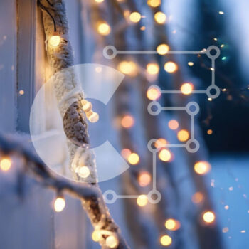 Intra Συλλεκτικό Ξύλινο Παζλ Plywood  4mm - Χειμερινή Χώρα των Θαυμάτων: Χιονισμένο κλαδί δέντρου με διακοσμητικά φωτάκια Σε Ξύλινο Κουτί - Διαστάσεις Puzzle: 10x10 cm – 25 κομμάτια - Image 1