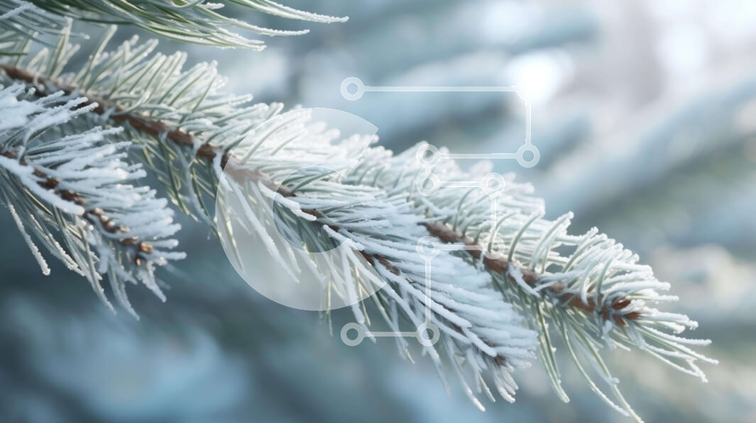 Intra Συλλεκτικό Ξύλινο Παζλ Plywood  4mm - Χιονισμένο κλαδί πεύκου - χειμωνιάτικη ομορφιά Σε Ξύλινο Κουτί - Διαστάσεις: 10x10 cm – 25 κομμάτια