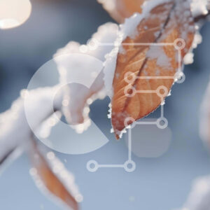 Intra Συλλεκτικό Ξύλινο Παζλ Plywood  4mm - Χιονισμένο κλαδί με καφέ φύλλα Σε Ξύλινο Κουτί - Διαστάσεις: 10x10 cm – 25 κομμάτια