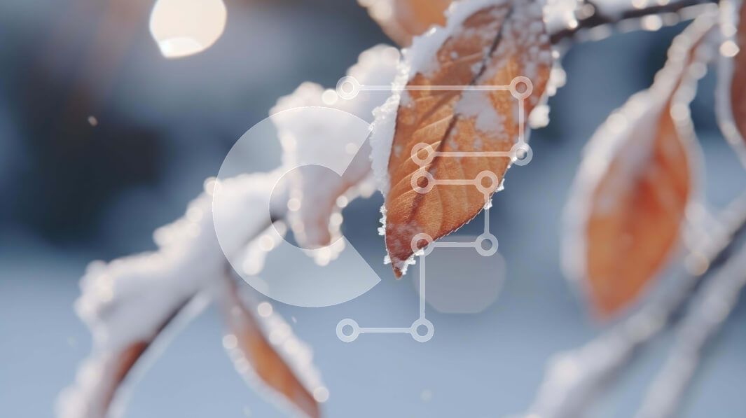 Intra Συλλεκτικό Ξύλινο Παζλ Plywood  4mm - Χιονισμένο κλαδί με καφέ φύλλα Σε Ξύλινο Κουτί - Διαστάσεις: 10x10 cm – 25 κομμάτια