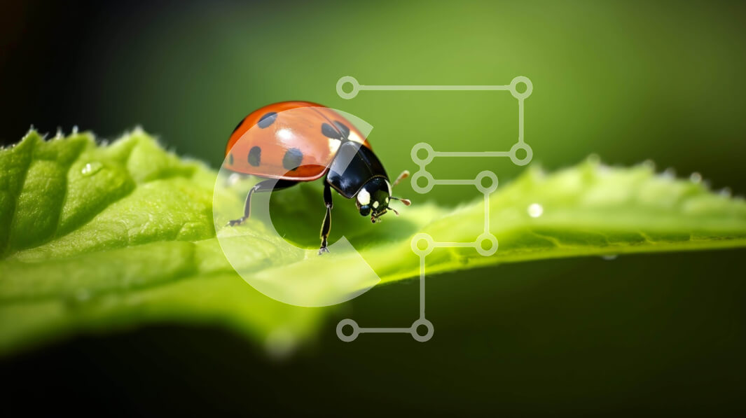 Intra Συλλεκτικό Ξύλινο Παζλ Plywood  4mm - Πασχαλίτσα σε πράσινο φύλλο με σκούρο φόντο Σε Ξύλινο Κουτί - Διαστάσεις: 10x10 cm – 25 κομμάτια