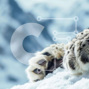 Intra Συλλεκτικό Ξύλινο Παζλ Plywood 4mm - Snow Leopard Paws στα χιονισμένα βουνά Σε Ξύλινο Κουτί - Διαστάσεις: 10x10 cm – 25 κομμάτια - Image 1