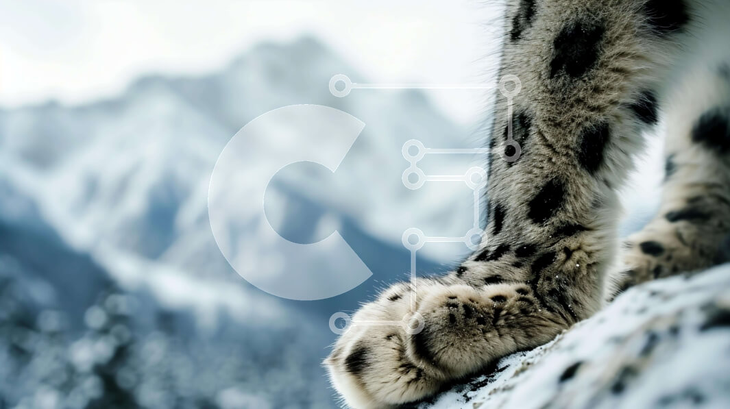 Intra Συλλεκτικό Ξύλινο Παζλ Plywood  4mm - Πόδια λεοπάρδαλης χιονιού στο ορεινό τοπίο Σε Ξύλινο Κουτί - Διαστάσεις: 10x10 cm – 25 κομμάτια