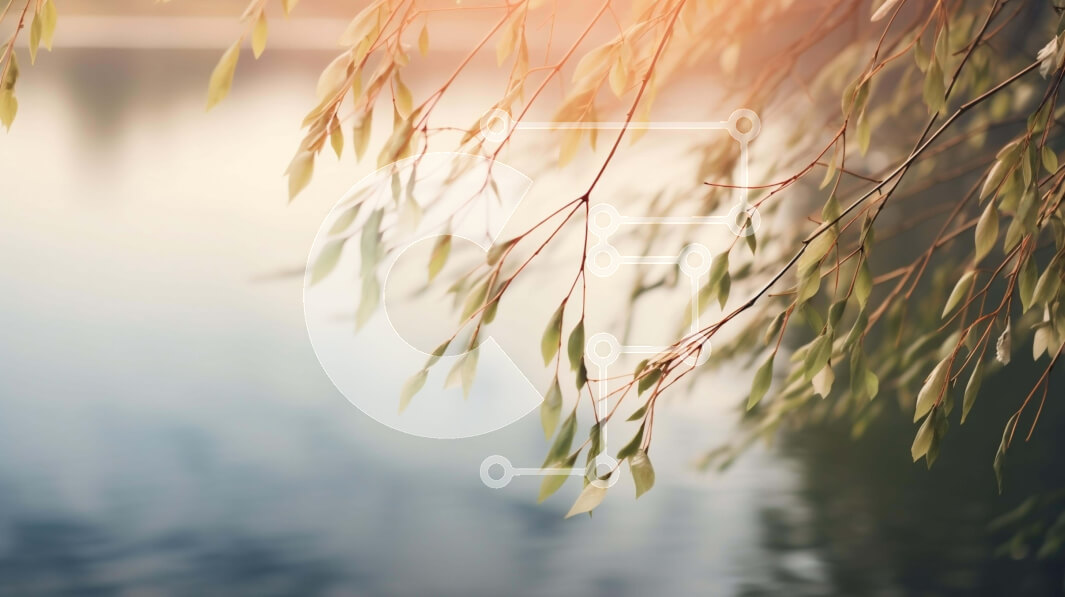 Intra Συλλεκτικό Ξύλινο Παζλ Plywood  4mm - Ειδυλλιακό κλαδί δέντρου με φύλλα πάνω από το νερό και πουλιά Σε Ξύλινο Κουτί - Διαστάσεις: 10x10 cm – 25 κομμάτια