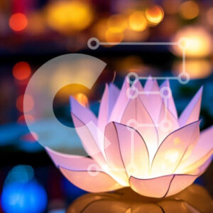 Intra Συλλεκτικό Ξύλινο Παζλ Plywood  4mm - Πολύχρωμο λουλούδι λωτού στο νερό με φωτισμένο φόντο Σε Ξύλινο Κουτί - Διαστάσεις Puzzle: 10x10 cm – 25 κομμάτια