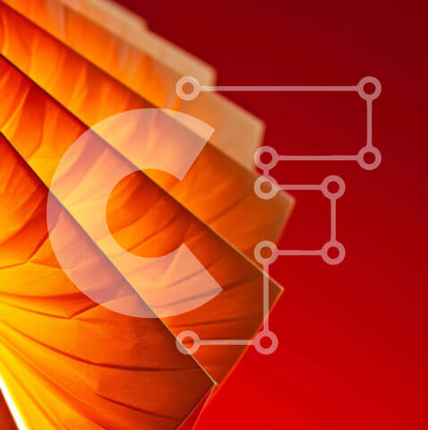 Intra Συλλεκτικό Ξύλινο Παζλ Plywood 4mm - Κοντινό πλάνο του πορτοκαλί ανεμιστήρα χαρτιού σε κόκκινο φόντο Σε Ξύλινο Κουτί - Διαστάσεις: 10x10 cm – 25 κομμάτια - Image 1