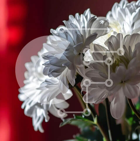 Intra Συλλεκτικό Ξύλινο Παζλ Plywood 4mm - Φρέσκα λευκά λουλούδια σε γυάλινο βάζο σε φόντο κόκκινη κουρτίνα Σε Ξύλινο Κουτί - Διαστάσεις: 10x10 cm – 25 κομμάτια - Image 1