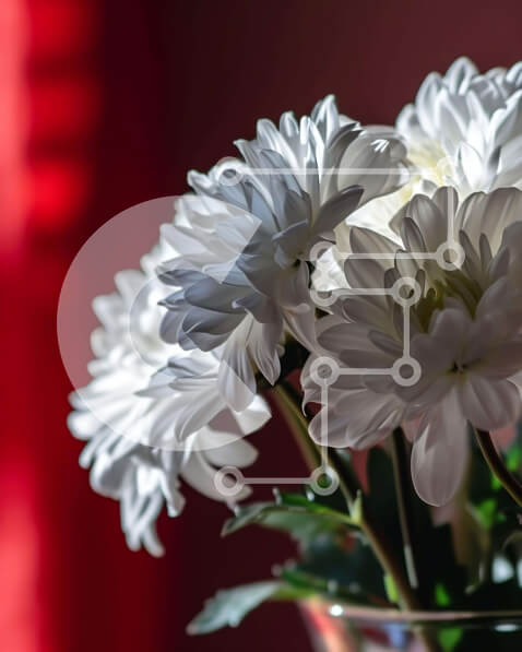 2imaI4M3uqtHpq7GuYcX7F49lNV-desktop