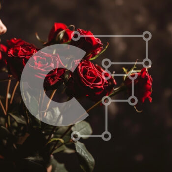 Intra Συλλεκτικό Ξύλινο Παζλ Plywood  4mm - Γυναίκα που κρατά ένα μπουκέτο με κόκκινα τριαντάφυλλα Σε Ξύλινο Κουτί - Διαστάσεις Puzzle: 10x10 cm – 25 κομμάτια - Image 1