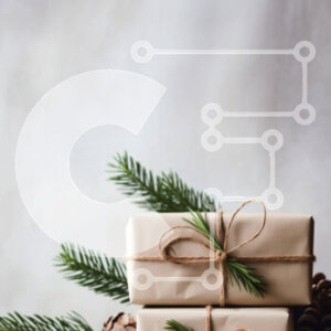 Intra Συλλεκτικό Ξύλινο Παζλ Plywood  4mm - Τυλιγμένα δώρα με κλαδί πεύκου σε λευκό φόντο Σε Ξύλινο Κουτί - Διαστάσεις: 10x10 cm – 25 κομμάτια