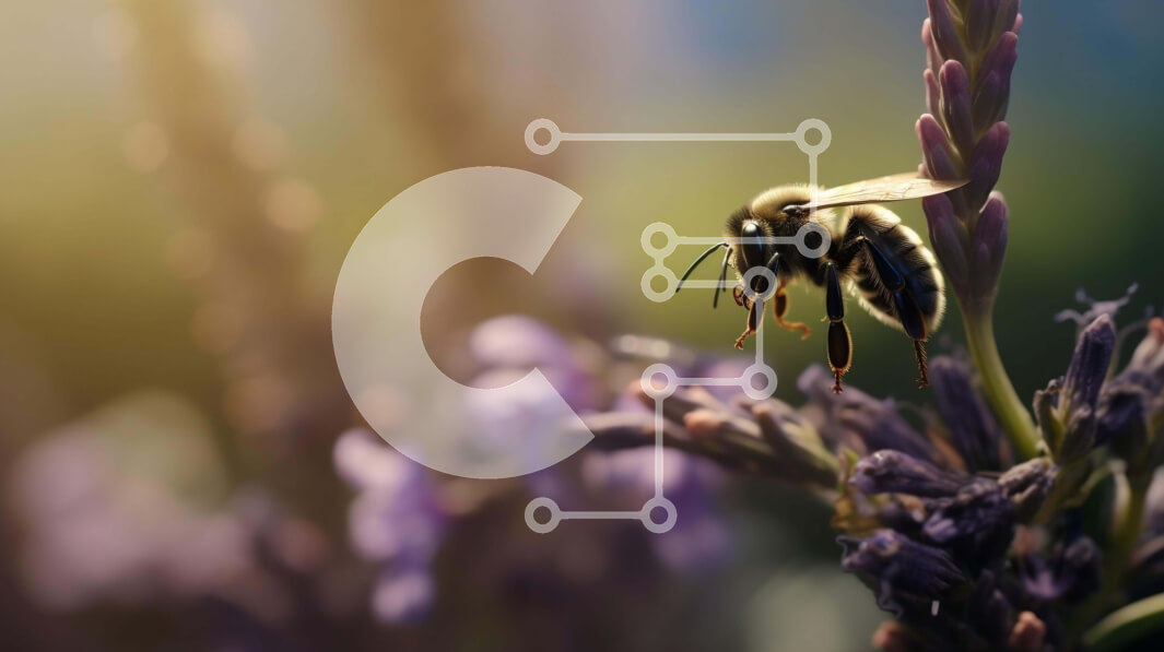 Intra Συλλεκτικό Ξύλινο Παζλ Plywood  4mm - Μέλισσα στα λουλούδια λεβάντας Σε Ξύλινο Κουτί - Διαστάσεις: 10x10 cm – 25 κομμάτια