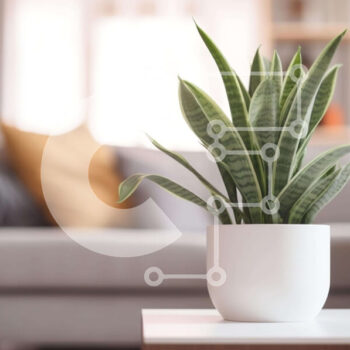 Intra Συλλεκτικό Ξύλινο Παζλ Plywood  4mm - Λευκό φυτό σε γλάστρα στο τέλος του τραπεζιού στο σαλόνι Σε Ξύλινο Κουτί - Διαστάσεις Puzzle: 10x10 cm – 25 κομμάτια - Image 1