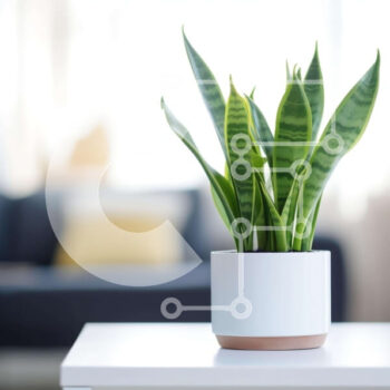 Intra Συλλεκτικό Ξύλινο Παζλ Plywood  4mm - Λευκό φυτό σε γλάστρα στο σαλόνι Σε Ξύλινο Κουτί - Διαστάσεις Puzzle: 10x10 cm – 25 κομμάτια - Image 1