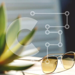 Intra Συλλεκτικό Ξύλινο Παζλ Plywood  4mm - Γυαλιά ηλίου με φυτό εσωτερικού χώρου Σε Ξύλινο Κουτί - Διαστάσεις Puzzle: 10x10 cm – 25 κομμάτια