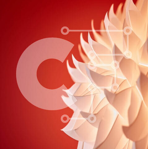 Intra Συλλεκτικό Ξύλινο Παζλ Plywood  4mm - Μεγάλο λουλούδι Λευκής Βίβλου σε πορτοκαλί φόντο Σε Ξύλινο Κουτί - Διαστάσεις Puzzle: 10x10 cm – 25 κομμάτια - Image 1