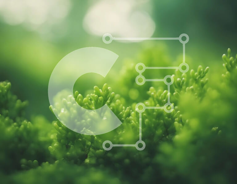 Intra Συλλεκτικό Ξύλινο Παζλ Plywood  4mm - Κοντινό πλάνο πράσινων φυτών στο δάσος με θολό φόντο Σε Ξύλινο Κουτί - Διαστάσεις: 10x10 cm – 25 κομμάτια