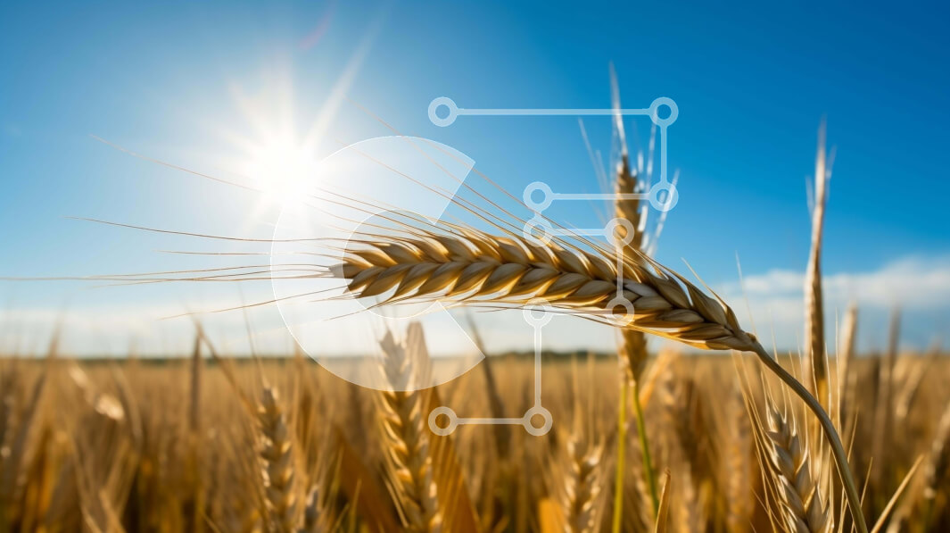 Intra Συλλεκτικό Ξύλινο Παζλ Plywood  4mm - Ηλιόλουστο χωράφι με σιτάρι έτοιμο για συγκομιδή Σε Ξύλινο Κουτί - Διαστάσεις: 10x10 cm – 25 κομμάτια