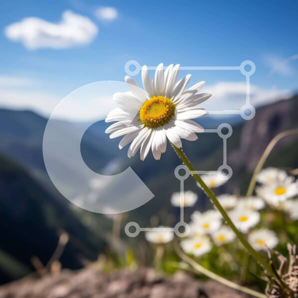 2imaXzqynPWRDR9IGvsm2ict3oq-desktop