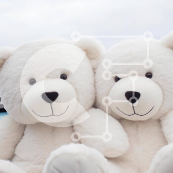 Intra Συλλεκτικό Ξύλινο Παζλ Plywood  4mm - Δύο λευκά αρκουδάκια σε φορτηγό Σε Ξύλινο Κουτί - Διαστάσεις Puzzle: 10x10 cm – 25 κομμάτια - Image 1