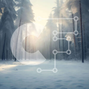 Intra Συλλεκτικό Ξύλινο Παζλ Plywood  4mm - Χιονισμένο δάσος με το φως του ήλιου να ρέει μέσα από δέντρα Σε Ξύλινο Κουτί - Διαστάσεις: 10x10 cm – 25 κομμάτια