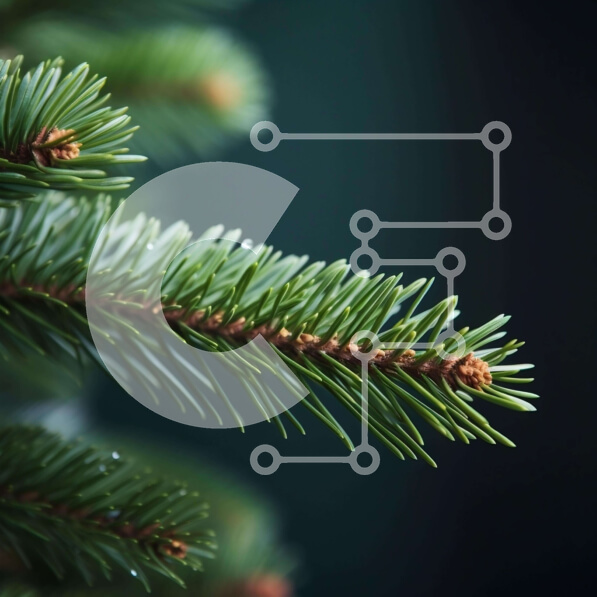 Intra Συλλεκτικό Ξύλινο Παζλ Plywood  4mm - Κοντινό πλάνο του κλαδί αειθαλούς δέντρου για τις γιορτινές διακοσμήσεις Σε Ξύλινο Κουτί - Διαστάσεις: 10x10 cm – 25 κομμάτια