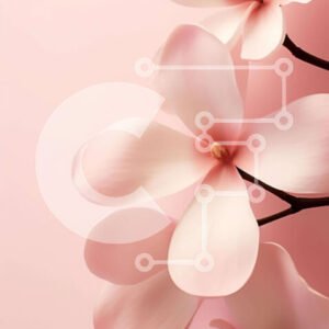 Intra Συλλεκτικό Ξύλινο Παζλ Plywood  4mm - Ροζ φόντο με ανθισμένα λουλούδια Magnolia Σε Ξύλινο Κουτί - Διαστάσεις: 10x10 cm – 25 κομμάτια