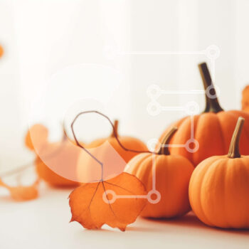 Intra Συλλεκτικό Ξύλινο Παζλ Plywood  4mm - Πορτοκαλί κολοκύθες σε λευκό τραπέζι με φθινοπωρινά φύλλα Σε Ξύλινο Κουτί - Διαστάσεις Puzzle: 10x10 cm – 25 κομμάτια - Image 1