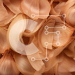 Intra Συλλεκτικό Ξύλινο Παζλ Plywood  4mm – Κοντινό πλάνο λουλουδιών καφέ σκόρδου Σε Ξύλινο Κουτί – Διαστάσεις: 10×10 cm – 25 κομμάτια