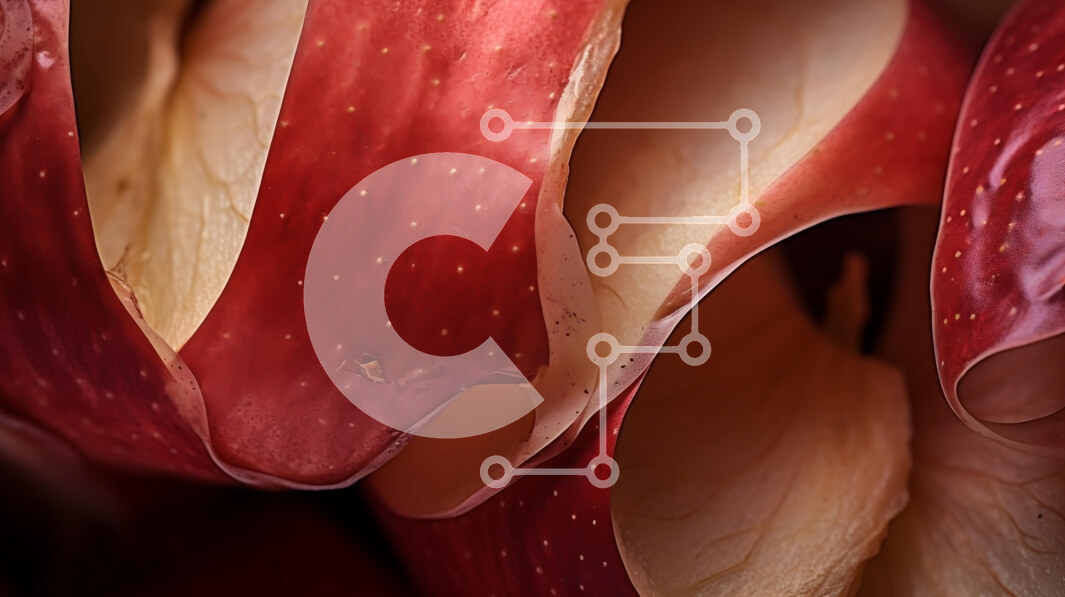 Intra Συλλεκτικό Ξύλινο Παζλ Plywood  4mm - Κοντινή όψη των κόκκινων και κίτρινων φύλλων Σε Ξύλινο Κουτί - Διαστάσεις: 10x10 cm – 25 κομμάτια