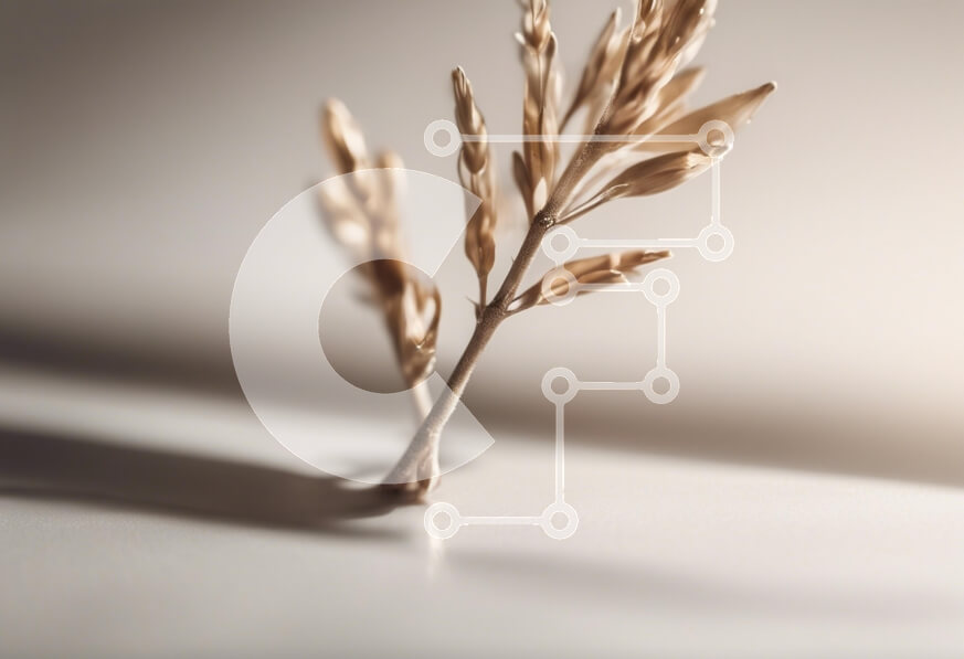 Intra Συλλεκτικό Ξύλινο Παζλ Plywood  4mm - Λεπτό κλαδί σε απαλό φως Σε Ξύλινο Κουτί - Διαστάσεις: 10x10 cm – 25 κομμάτια