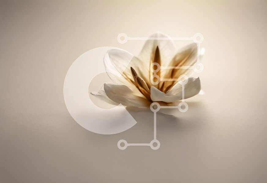 Intra Συλλεκτικό Ξύλινο Παζλ Plywood  4mm - Λεπτό λευκό λουλούδι σε μαλακό φόντο Σε Ξύλινο Κουτί - Διαστάσεις Puzzle: 10x10 cm – 25 κομμάτια