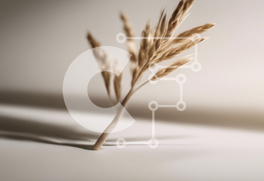 Intra Συλλεκτικό Ξύλινο Παζλ Plywood  4mm - Κλαδί αποξηραμένου χόρτου σε απαλό φως Σε Ξύλινο Κουτί - Διαστάσεις: 10x10 cm – 25 κομμάτια