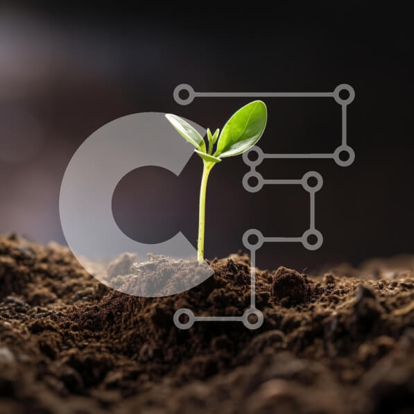 2ke2Ek6PdhL7NSNvCFlDnfkKnlN-desktop