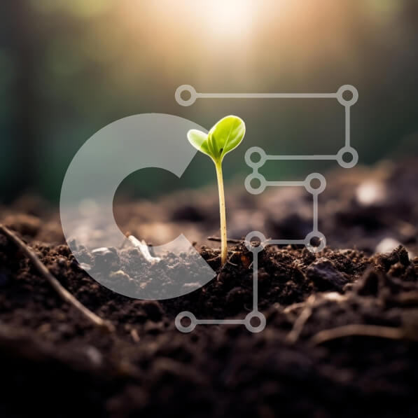 2ke2H93Fo3xP9hNzMJBnXU7c4Ui-desktop