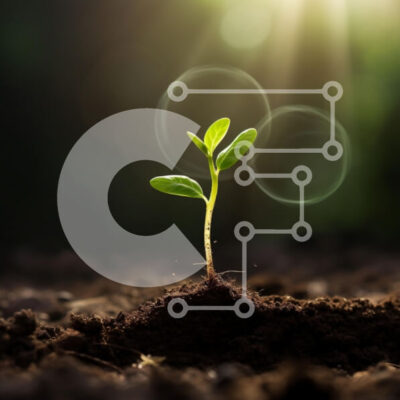 Intra Συλλεκτικό Ξύλινο Παζλ Plywood 4mm - Νέο φυτό που αναπτύσσεται στο φως του ήλιου Σε Ξύλινο Κουτί - Διαστάσεις: 10x10 cm – 25 κομμάτια - Image 1