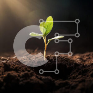 Intra Συλλεκτικό Ξύλινο Παζλ Plywood  4mm - Νέο σπορόφυτο που αναπτύσσεται στο έδαφος με το φως του ήλιου Σε Ξύλινο Κουτί - Διαστάσεις: 10x10 cm – 25 κομμάτια