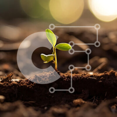 Intra Συλλεκτικό Ξύλινο Παζλ Plywood 4mm - Νέο σπορόφυτο που αναδύεται από το έδαφος Σε Ξύλινο Κουτί - Διαστάσεις: 10x10 cm – 25 κομμάτια - Image 1